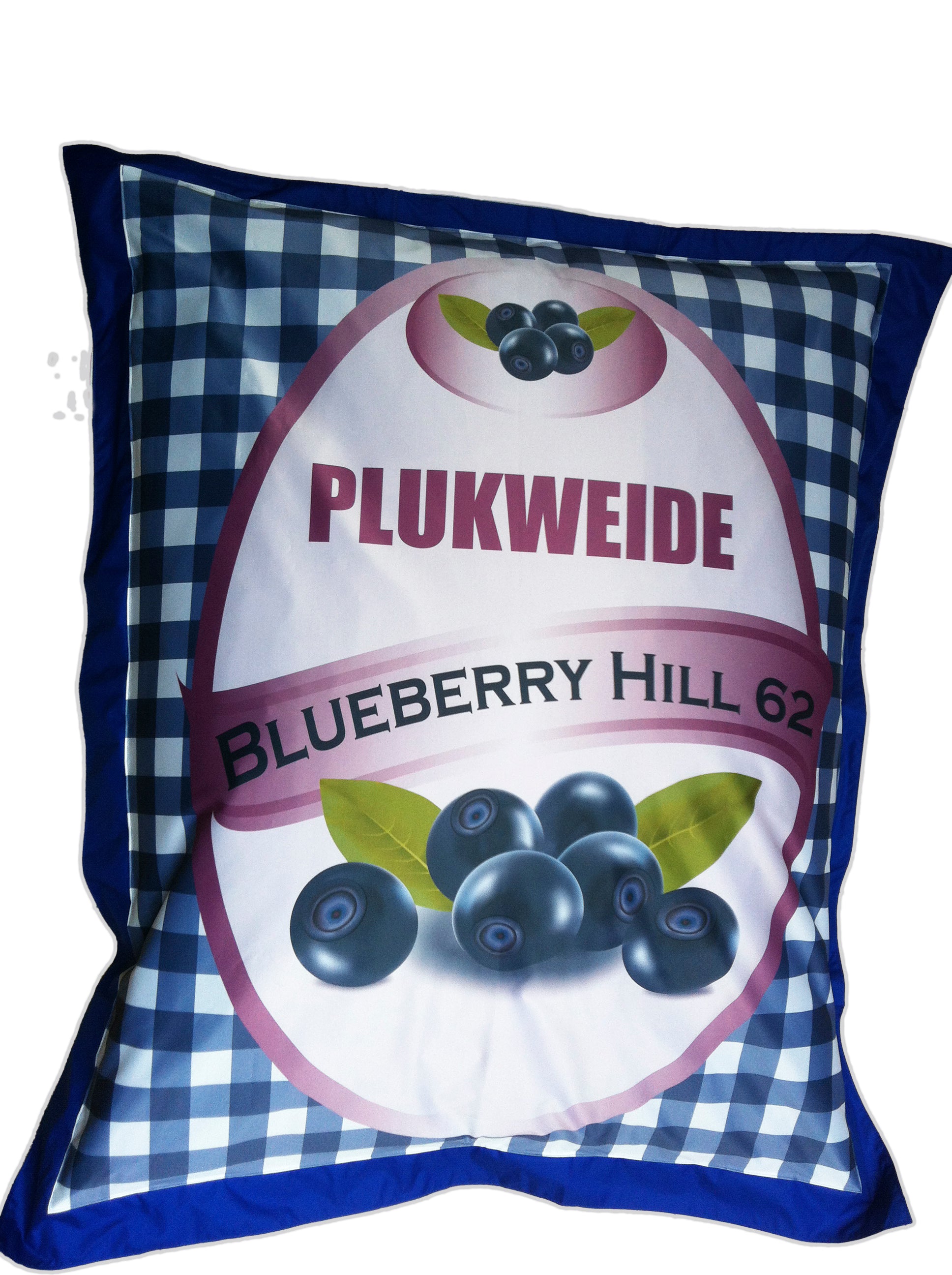 custom beanbag personalised picture photo party home decoration